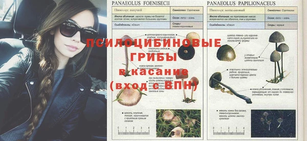круглые Балахна