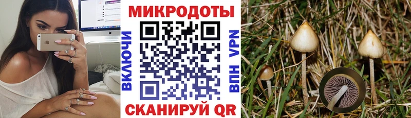 Галлюциногенные грибы Cubensis  Барыш 