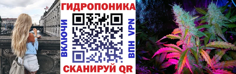 наркота  Барыш  Бошки марихуана планчик 